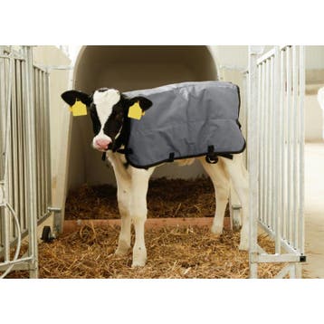 Couverture pour veaux 70 cm - kerbl, Zakelijke goederen