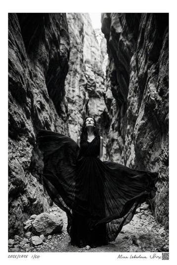 Alina Lebedeva - Wild butterfly in the rocks