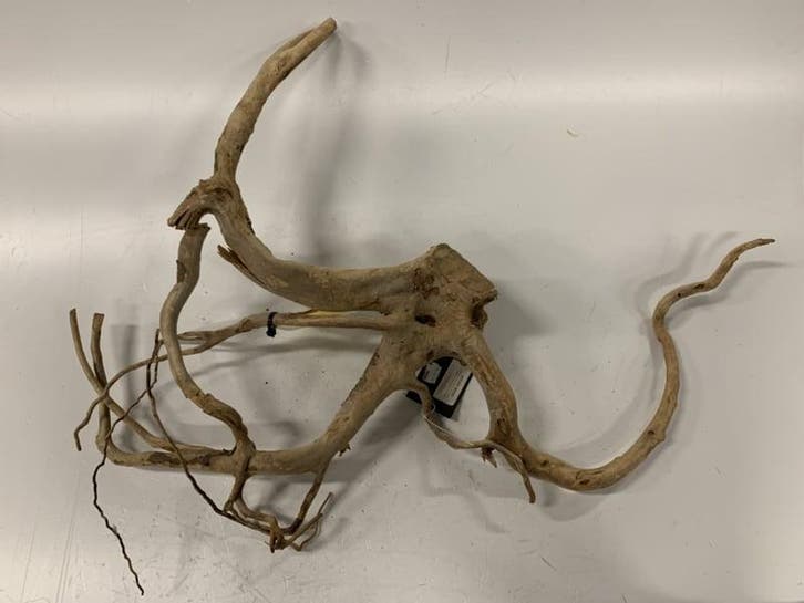 Spiderwood Selected SW40 - 58x56x14cm (Spider wood), Animaux & Accessoires, Poissons | Aquariums & Accessoires, Enlèvement ou Envoi