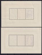 Belgique 1949 - Blocs Jordaens et Van der Weyden - OBP/COB, Gestempeld