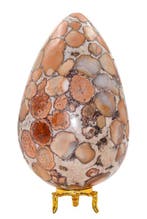 Cobra Jasper Transformatie-ei – 130mm Oranje en Wit – Steen