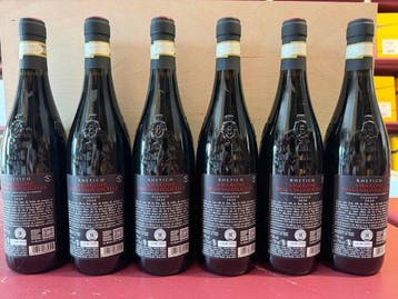 2020 Rhetico Bolla - Amarone della Valpolicella - 6 Flessen, Nieuw