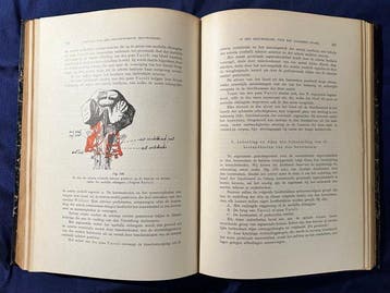 Dr. C. Winkler - Handboek der Neurologie / De bouw van het