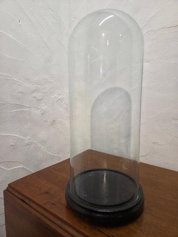 Globe - stolp - glas - 1901-1920 - Grande antique cloche
