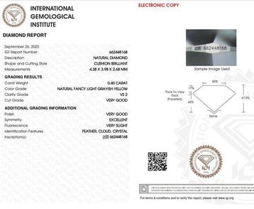 1 pcs Diamant (Natuurlijk gekleurd) - 0.40 ct - Cushion -, Bijoux, Sacs & Beauté, Pierres précieuses