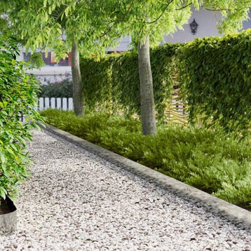 vidaXL Gazonrand 50 st 100 x 20 cm Staal Zilverkleurig, Verzenden, Nieuw
