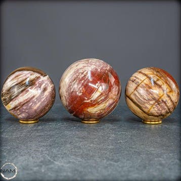 Exclusieve set van versteend hout uit Madagaskar – Tijdloze, Verzamelen, Mineralen en Fossielen
