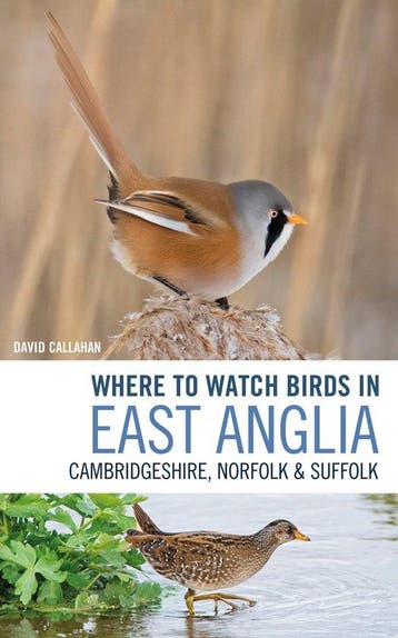 Where to Watch Birds in East Anglia Cambridgeshire, Norfolk, Verzenden, Zo goed als nieuw, David Callahan