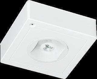 Famostar CELO Luminaire De Secours - 392001, Bricolage & Construction, Éclairage de chantier, Envoi