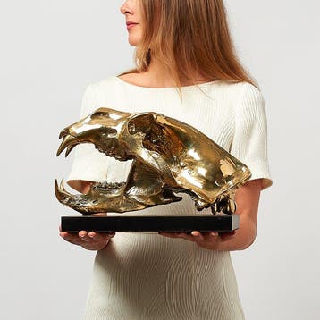Sculpture, Sooka Interior - Polar Bear skull in finest