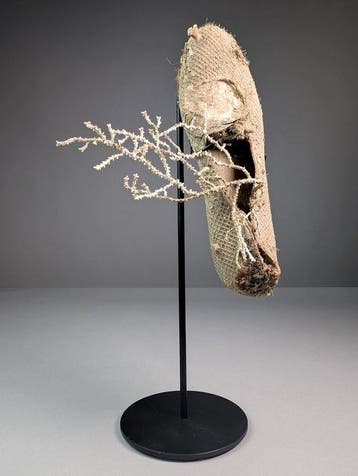 Leven in de zee op gerecupereerde schoenzool Taxidermie
