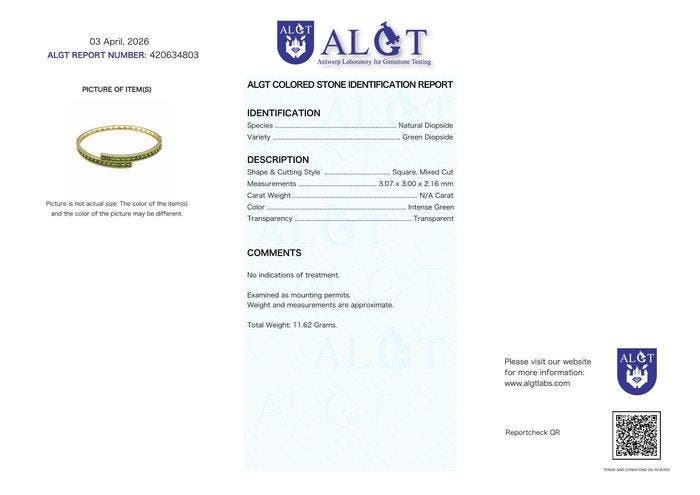 Zonder minimumprijs - Armband Zilver - Diopsiet -, Handtassen en Accessoires, Armbanden