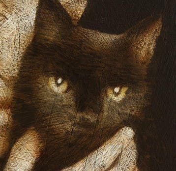 Michal Lukasiewicz - Black Cat