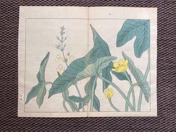 From the album Shiki no hana  (Flowers of the Four