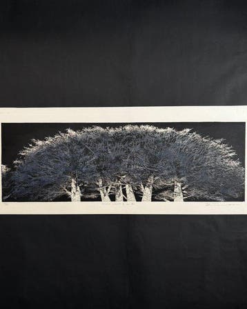 MOON LIGHT II ver B/W - Tanaka Yoshikazu - Japon