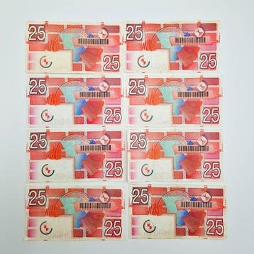 Nederland. - 8 x 25 Gulden - 1989 - PL71 (Zonder