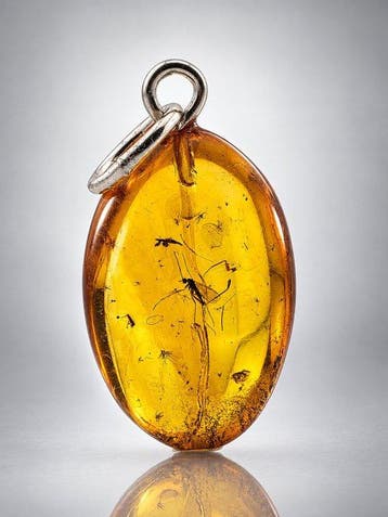 Zeldzame gouden Baltische barnsteen hanger – meervoudig