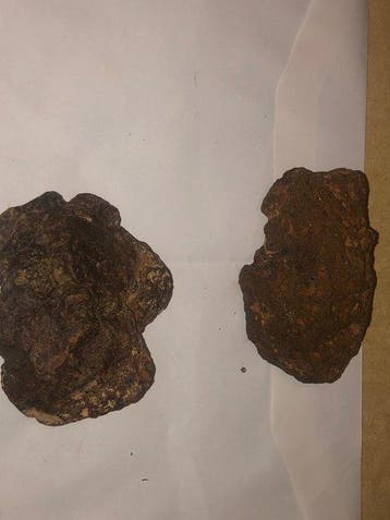 Météorite de Chondrite - 1000 g - (7)