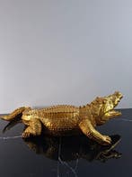 NEXAR - Crocodile Or (2/8)