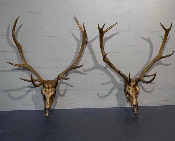 Large Red Stag Trophys gold painted Schedel - Cervus elaphus, Verzamelen, Dierenverzamelingen