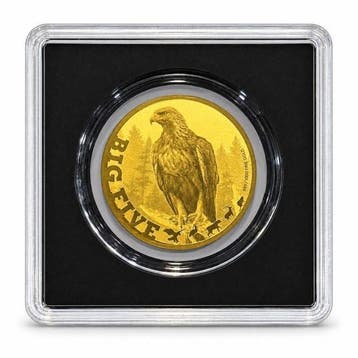 Tsjaad. 5000 Francs 1/200 oz 999 Fine Gold 5000 CFA Francs