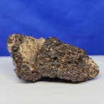 XL Zeldzame meteoriet CR2 - koolstofrijke chondriet- ERG