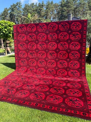 Adoros wol tapijt - Tapijt - 400 cm - 300 cm, Nieuw