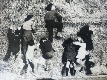 Giacomelli Mario - La Buona Terra