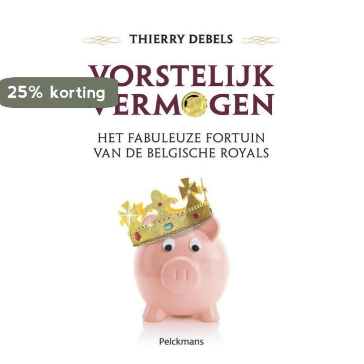 Vorstelijk vermogen 9789028979000 Thierry Debels, Livres, Politique & Société, Envoi