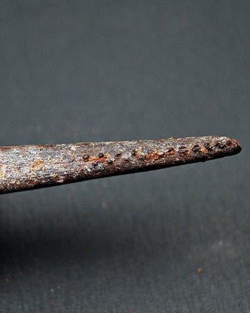 Haai - Fossiel bot - Espina dorsal de tiburón Hybodus Top