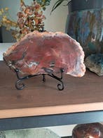 Fossiel hout - Gefossiliseerd hout - 13.5 cm - 7 cm (Zonder
