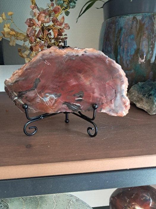Fossiel hout - Gefossiliseerd hout - 13.5 cm - 7 cm (Zonder, Collections, Minéraux & Fossiles