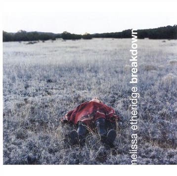 Melissa Etheridge - Breakdown CD, Verzenden