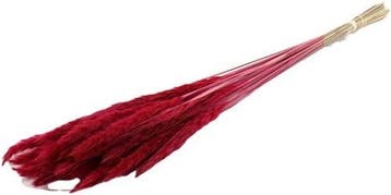 Fluffy Pampas Cerise 70gr 75-80cm, Nieuw