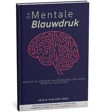 De Mentale Blauwdruk + Werkboek 9789493372207, Verzenden, Gelezen, Erwin van der Deen