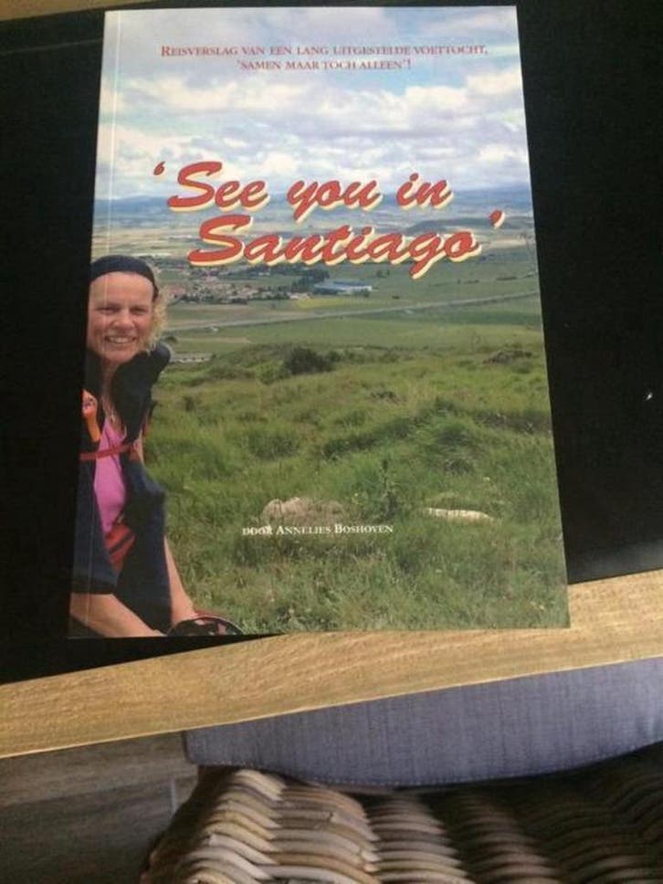 See you in Santiago 9789462330078 Annelies Boshoven, Livres, Récits de voyage, Envoi
