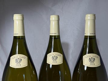 2024 Louis Jadot, Couvent des Jacobins Bourgogne Magnum -