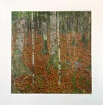 Gustav Klimt (after) - Birch Forest - Fine art giclée