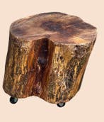Verrijdbaar Boomstam - Bijzettafel - hard hout