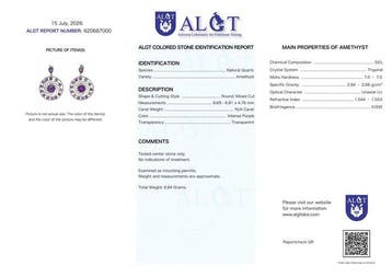 Zonder minimumprijs - Oorbellen Zilver - Amethist -, Nieuw