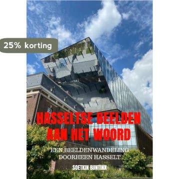 Hasseltse beelden aan het woord 9789464923483, Boeken, Verzenden, Zo goed als nieuw, Soetkin Buntinx