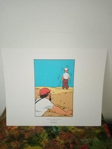 Tintin - le crabe aux pinces dor +tintin et les Picaros - 9, Boeken, Nieuw