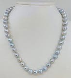 Halsketting 8,5 × 9 mm zilverkleurige Akoya-parels, Zilver, Nieuw
