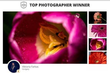Viktoria Farkas - Awakening in Pink - Fine Art Premium Print