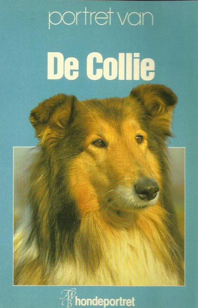 Portret van de Collie 9789022936085, Livres, Loisirs & Temps libre, Envoi