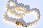 Halsketting - 18 karaat Witgoud Parel - Diamant, Nieuw
