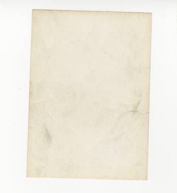 autre - Chien - fileuse