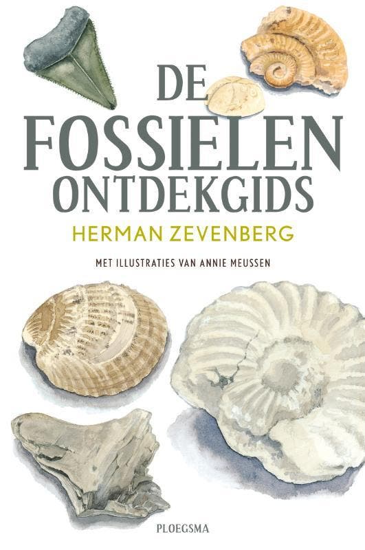 De fossielen ontdekgids 9789021668970 Herman Zevenberg, Boeken, Kinderboeken | Jeugd | 10 tot 12 jaar, Gelezen, Verzenden