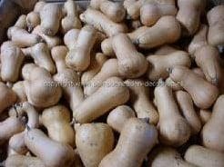 Butterboy F1 pompoen basiseenheid, Hobby & Loisirs créatifs, Bricolage