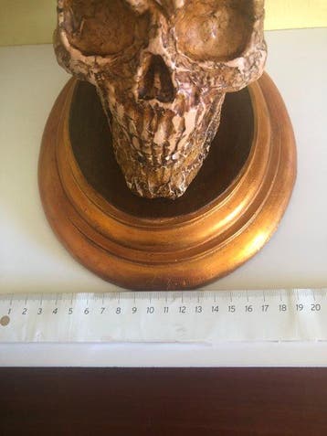 crâne incisé Crâne sculpté - Memento mori con grande Teschio, Collections, Objets militaires | Général
